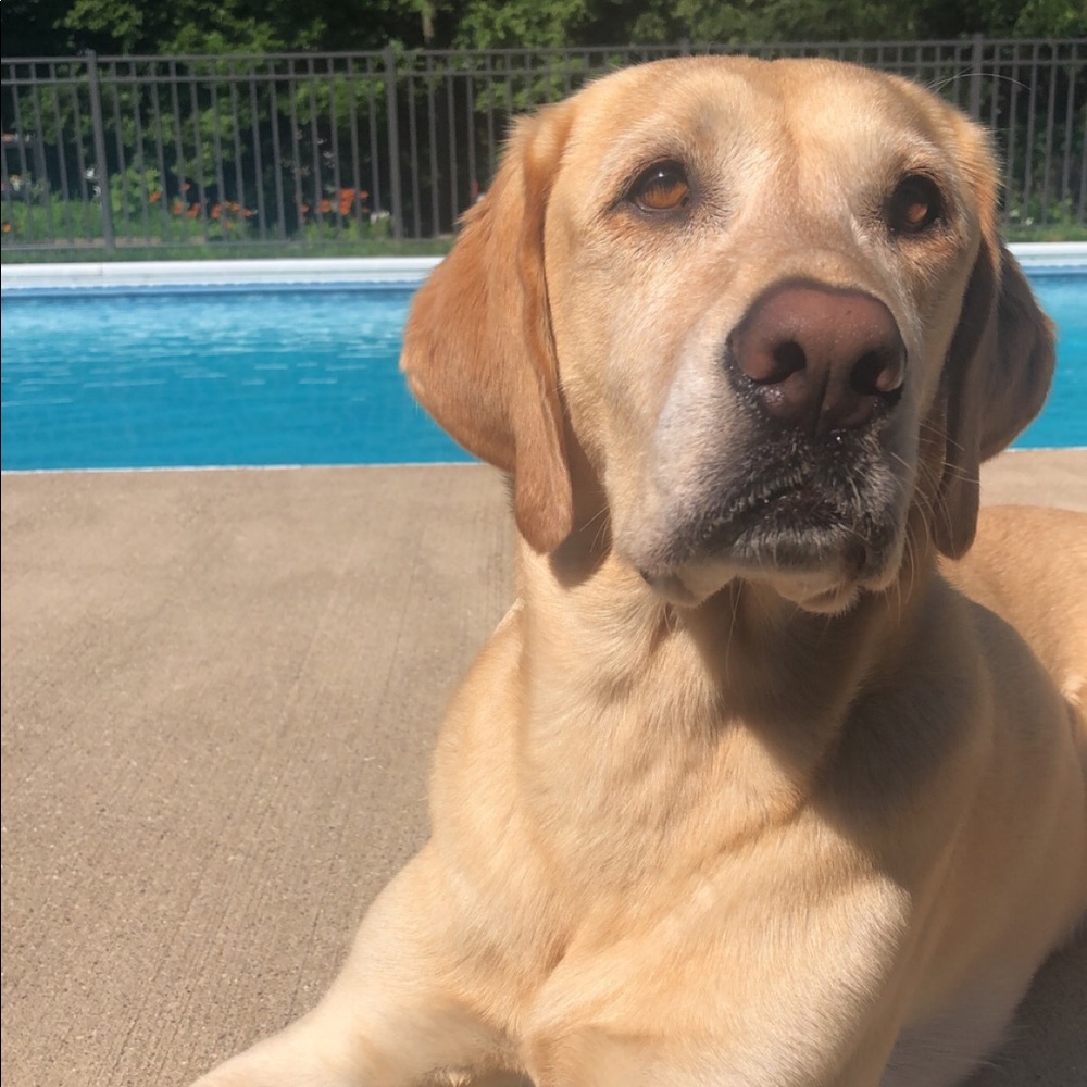 Meet your Posher, Erica